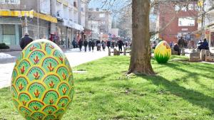 украса Враца