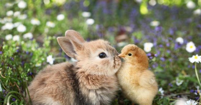 Днес облачността ще е значителна и на много места главно