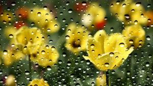 време пролет