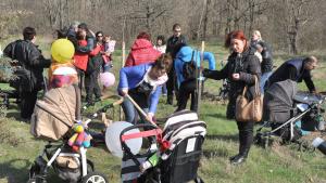 Димитровград алея новородени