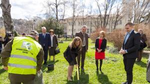 Седмица на гората