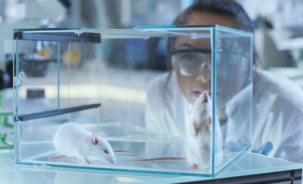 Южнокорейски учени за пръв път се намесиха в мозъка на живо същество - в случая опитни мишки