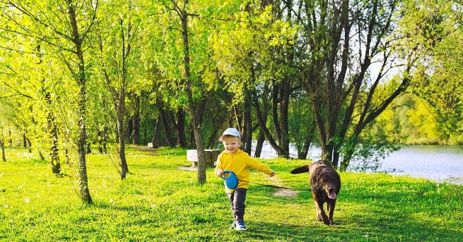 Във вторник ще е предимно слънчево след обяд над западните