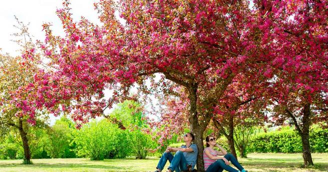 През нощта ще е предимно ясно По Черноморието и на
