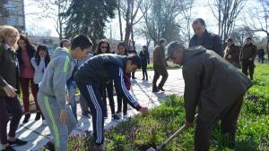 Ученици общинари и лесничеи садиха дръвчета в Девня