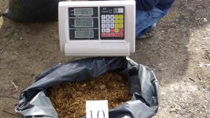 Иззетия тютюн