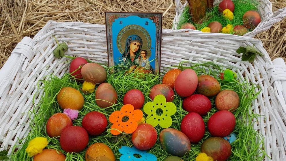  Инициатива на Мая Манолова 