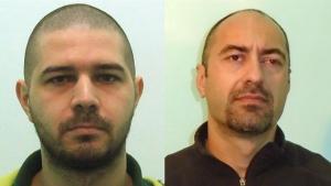 Радослав Колев Владимир Пелов