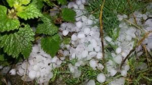 Градушка Доспат