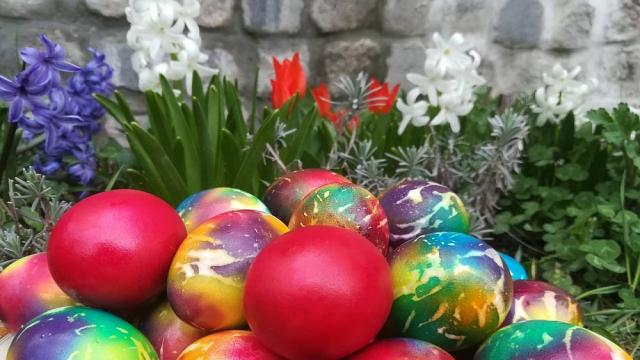 Любопитни факти за яйцата