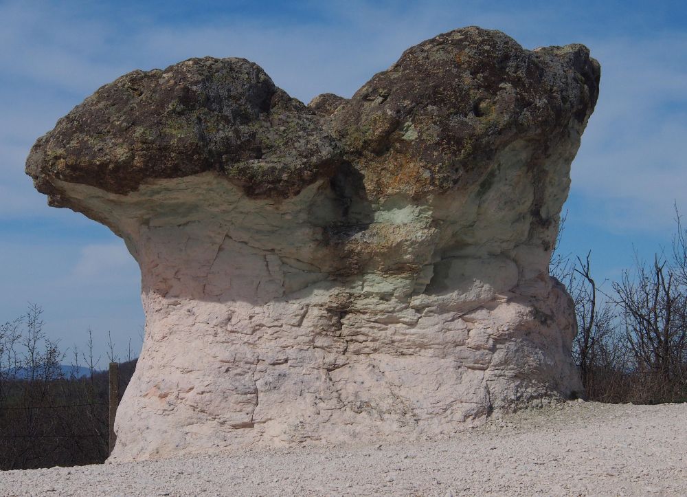 Скални гъби край село Бели пласт