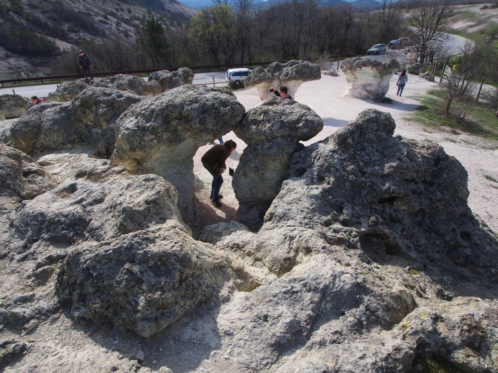 Скални гъби край село Бели пласт