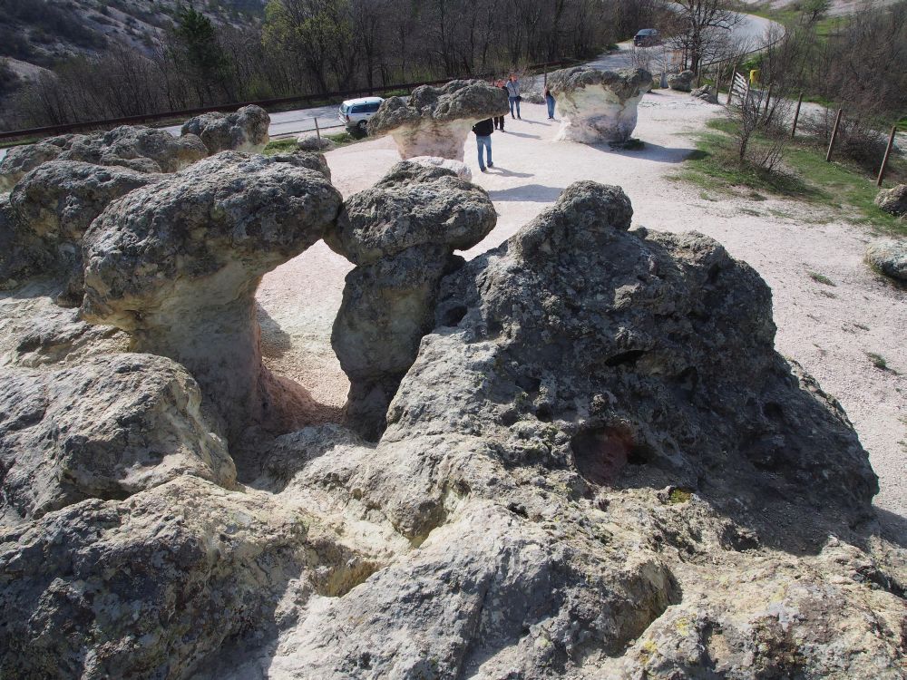 Скални гъби край село Бели пласт