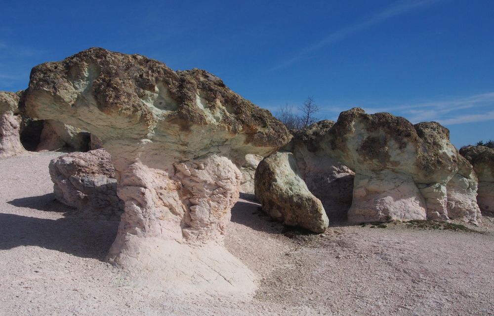 Скални гъби край село Бели пласт