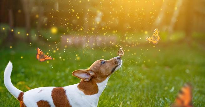 През следващите дни ни очаква топло време Максималните дневни температури