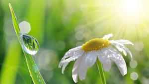 пролет време