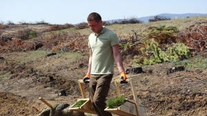 залесяване в Кресна