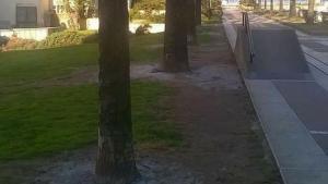 вандалски акт