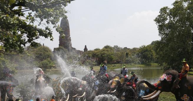 Слонове пръскайки тълпата с вода от хоботите си откриха традиционния