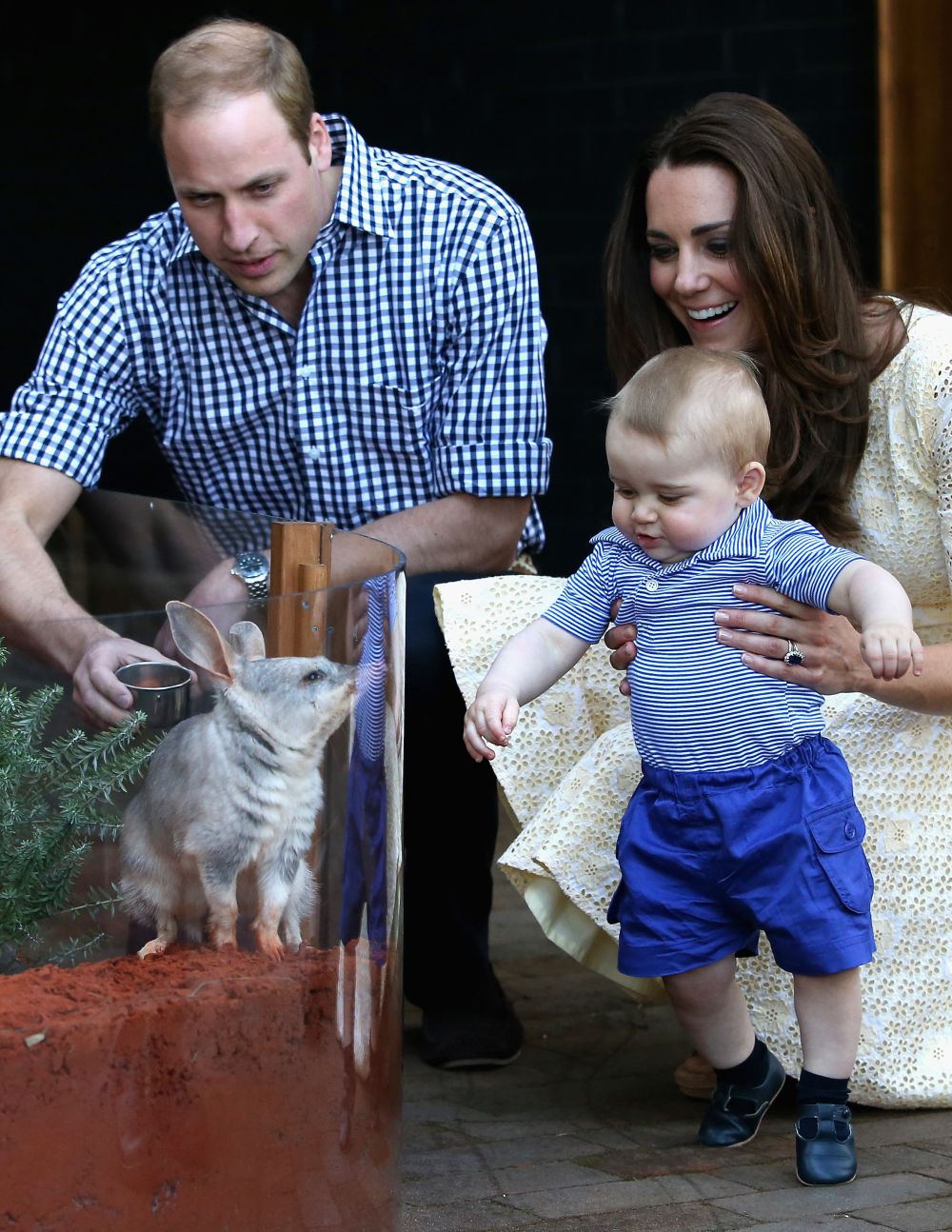 Принц Уилям, Кейт и малкия принц Джордж