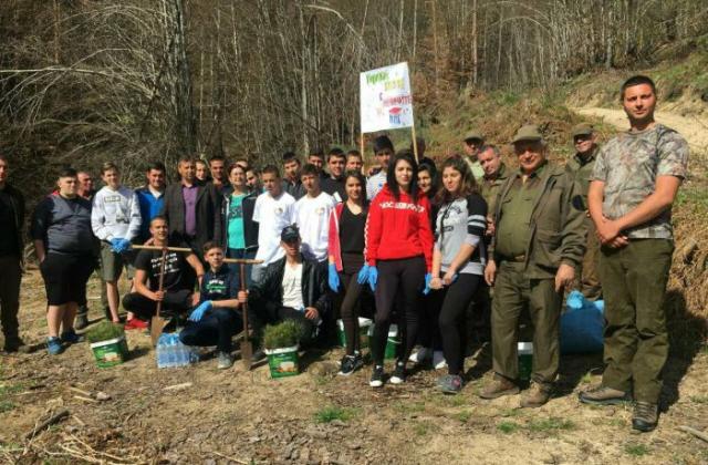 Mладежи засадиха хиляда фиданки бял бор край Гоце Делчев