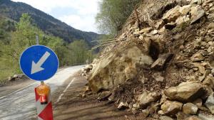 Свлякла се скална маса и дървета блокираха тази сутрин пътя