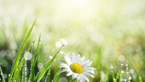 времето пролет