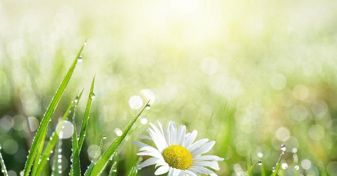 Днес над по голямата част от страната ще бъде предимно