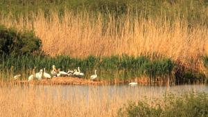 Сребърна резерват биосферен парк