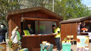 панорама училища