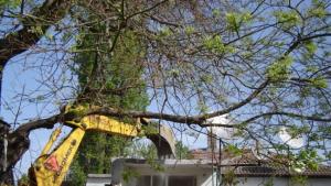 Багери започнаха да събарят незаконни къщи в Арман махала