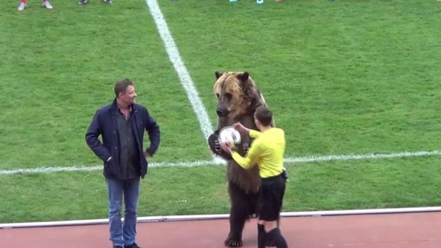 Мечка даде началото на мач в Русия (ВИДЕО)