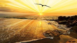 залез океан