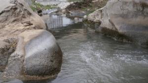 Пролетно почистване 2018