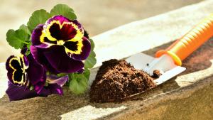 Часът на земята