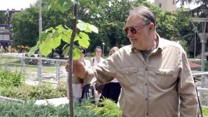 Васил Михайлов