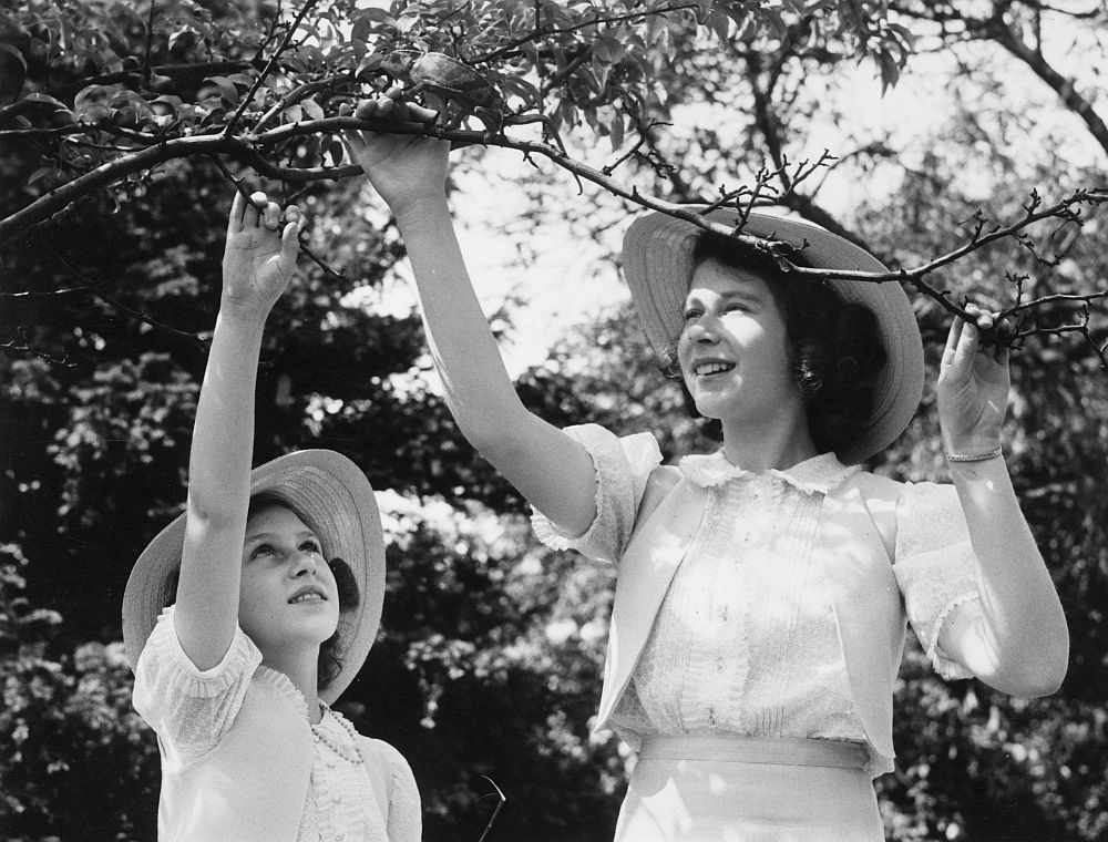 Бъдещата кралица Елизабет Втора и сестра й принцеса Маргарет Роуз играят в двореца Уиндзор, 8 юли 1941 година