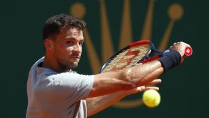 Григор Димитров