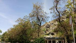 Събарят бивша култова сладкарница в Центъра