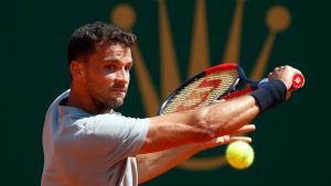 Григор Димитров