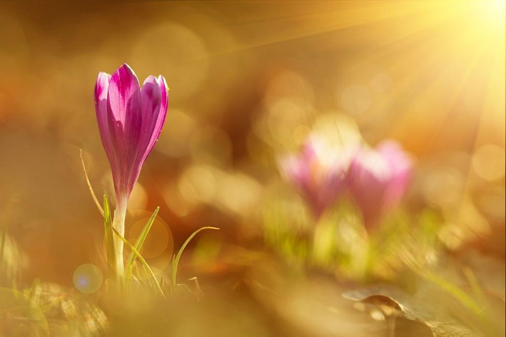  пролет време 