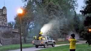 комари Видин