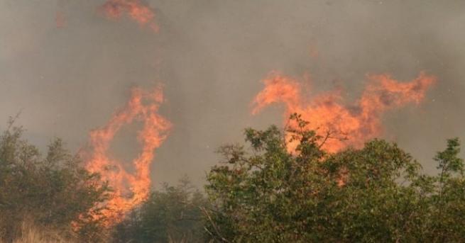 Десет пъти по малко горски пожари от началото на годината в
