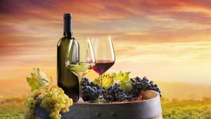 вино грозде