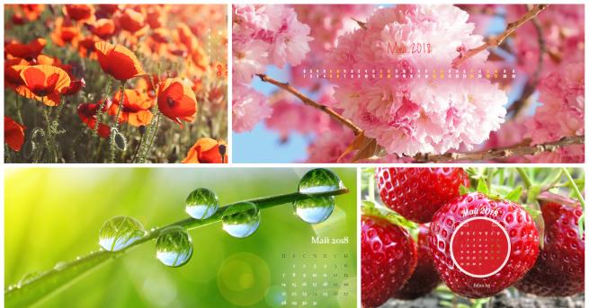 В началото на всеки месец сме готови за нещо ново