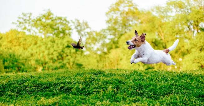 През нощта ще бъде предимно ясно и почти тихо След
