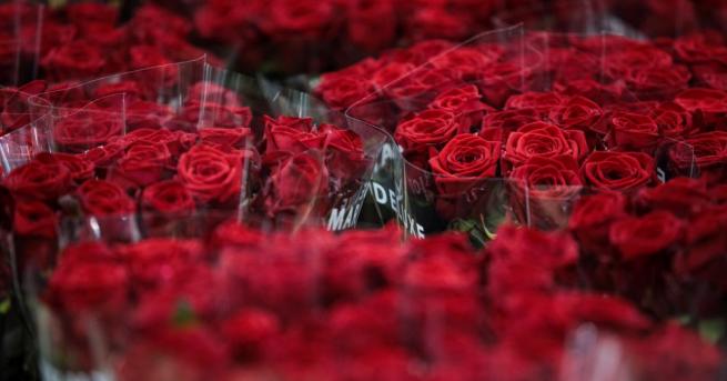 Международен екип с участието на специалисти от университета на Лион