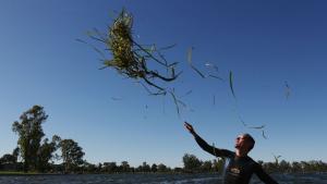 езерото виктория