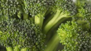 броколи храна