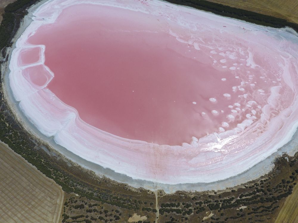 Приказната красота на розовото езеро Хилиър в Австралия е една от големите загадки пред учените